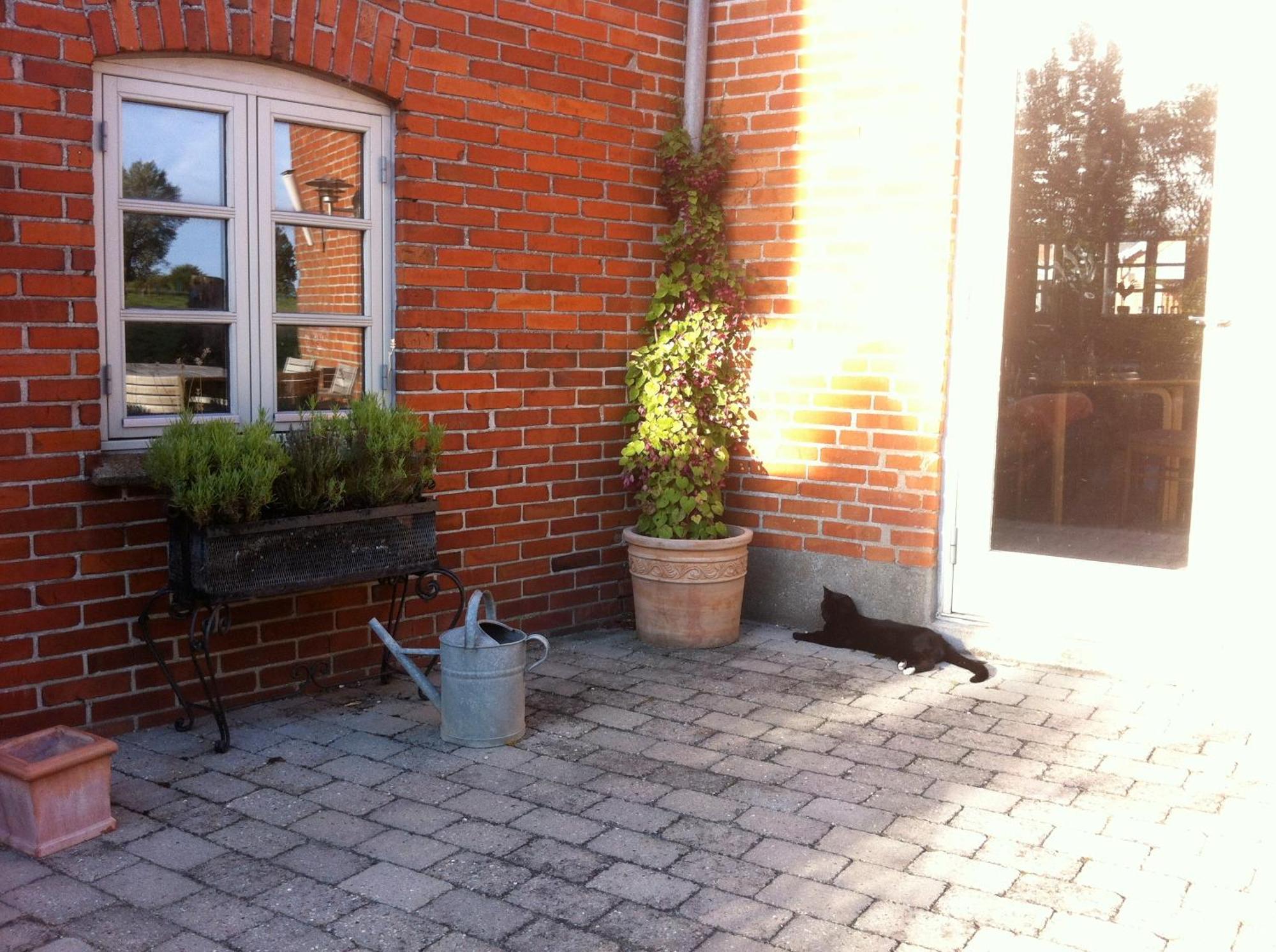 Lundsgaard Bed & Breakfast Фоборг Экстерьер фото